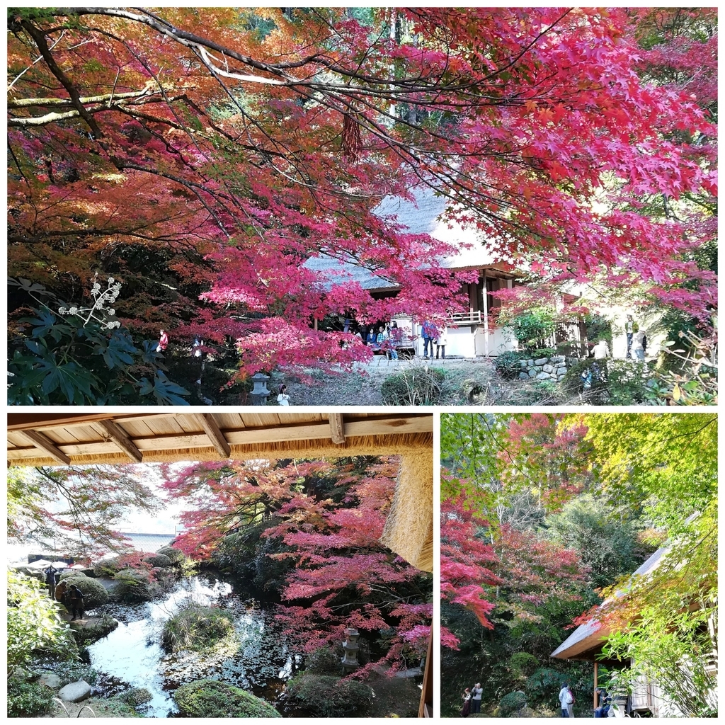 f:id:kouheibasi:20181110231830j:plain f:id:kouheibasi:20181110231830j:plain