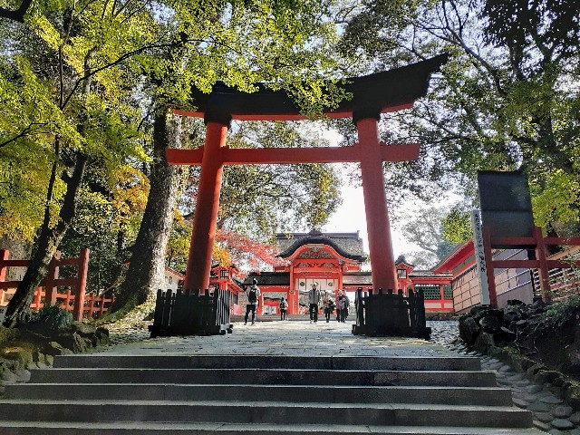 f:id:kouheibasi:20191201185248j:image