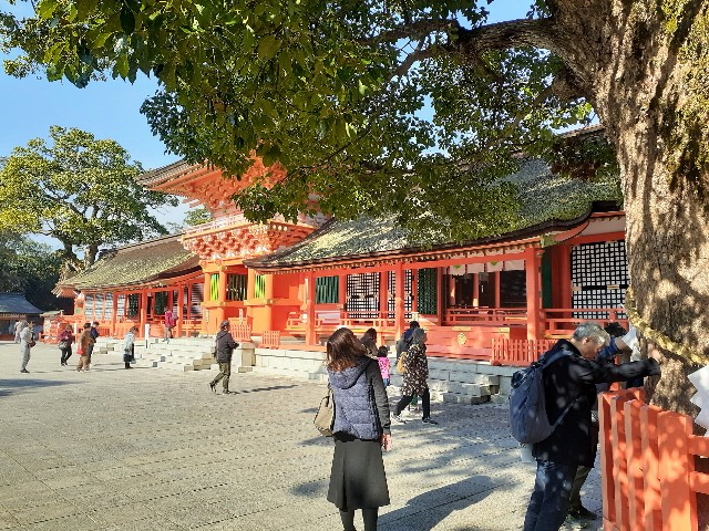 f:id:kouheibasi:20191201185524j:image