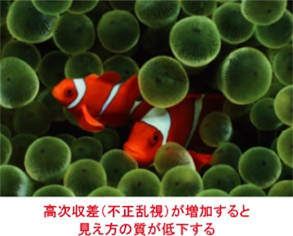 f:id:kouheizero:20210823071711j:image
