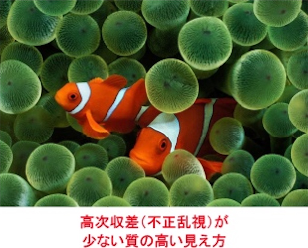 f:id:kouheizero:20210823071720j:image