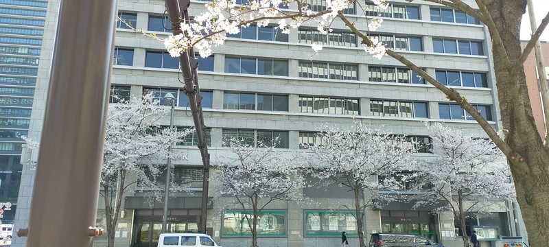 f:id:kouhokuy517:20210327104945j:plain