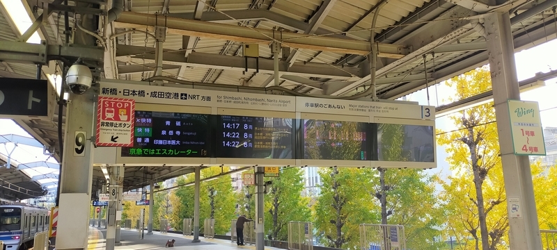 f:id:kouhokuy517:20210606151345j:plain