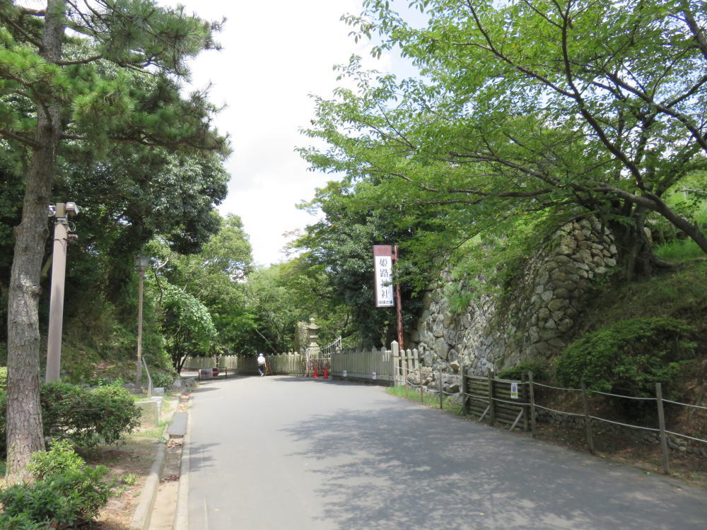 f:id:kouji-katayanagi:20190307151341j:plain f:id:kouji-katayanagi:20190307151341j:plain