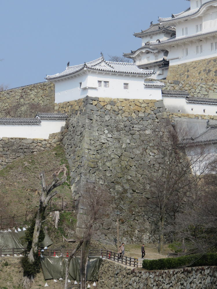 f:id:kouji-katayanagi:20190307151956j:plain f:id:kouji-katayanagi:20190307151956j:plain