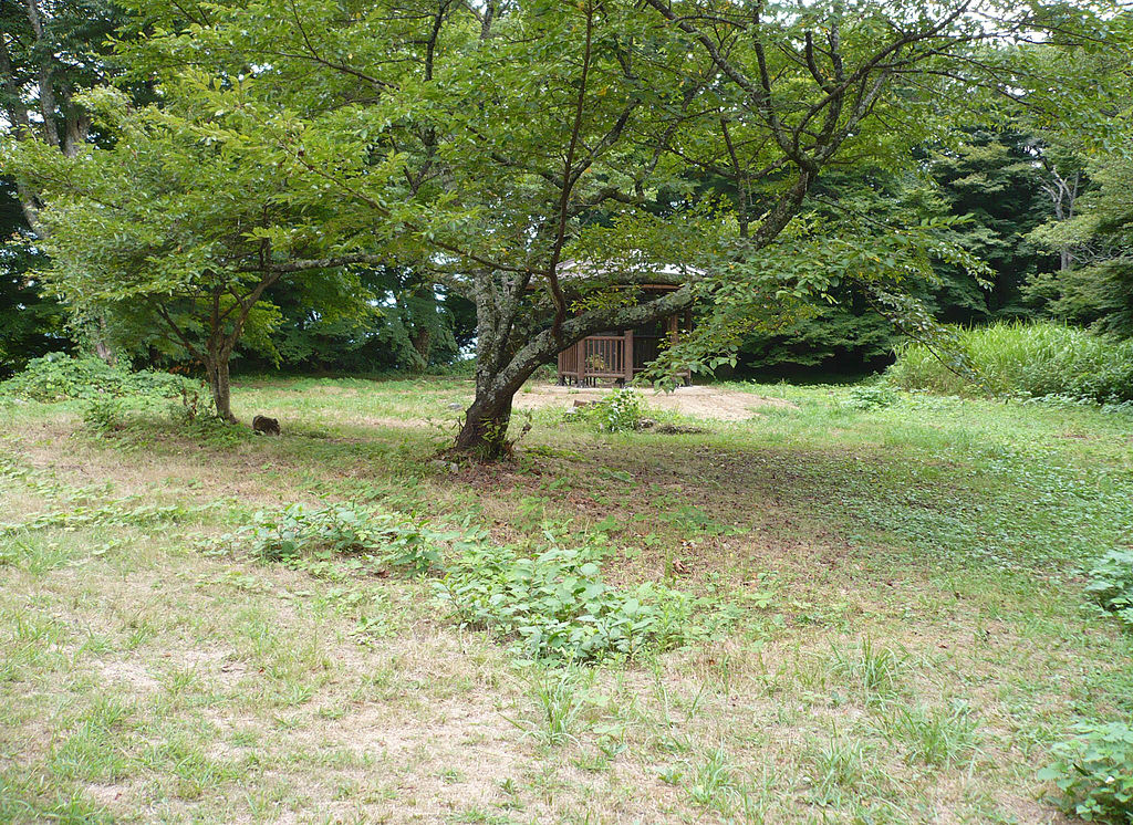 f:id:kouji-katayanagi:20190310231708j:plain f:id:kouji-katayanagi:20190310231708j:plain