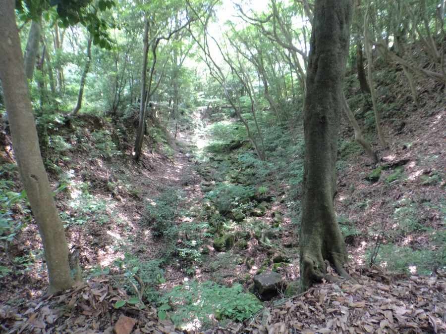 f:id:kouji-katayanagi:20190405170306j:plain