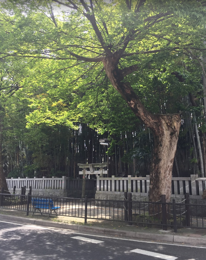 八幡の藪知らず 伝承 スピリチュアル&アセンション通信