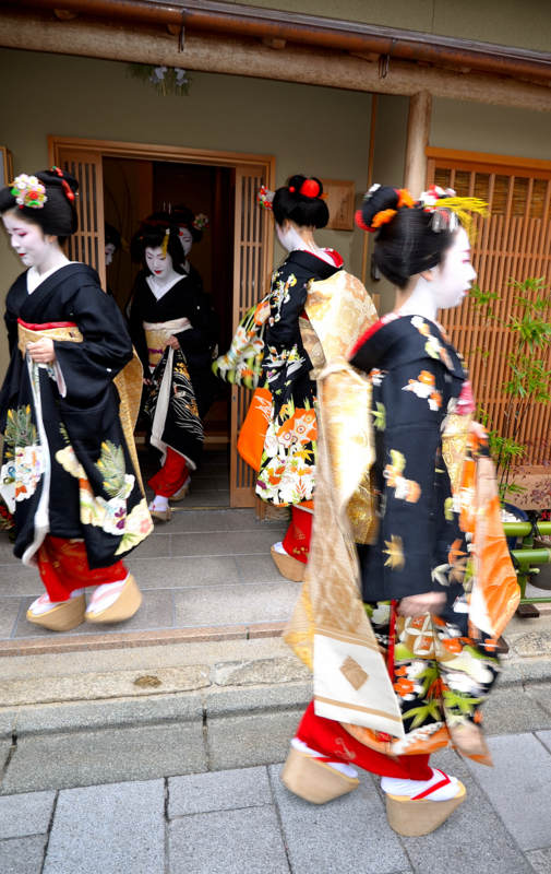 京都新聞写真コンテスト　花街の華