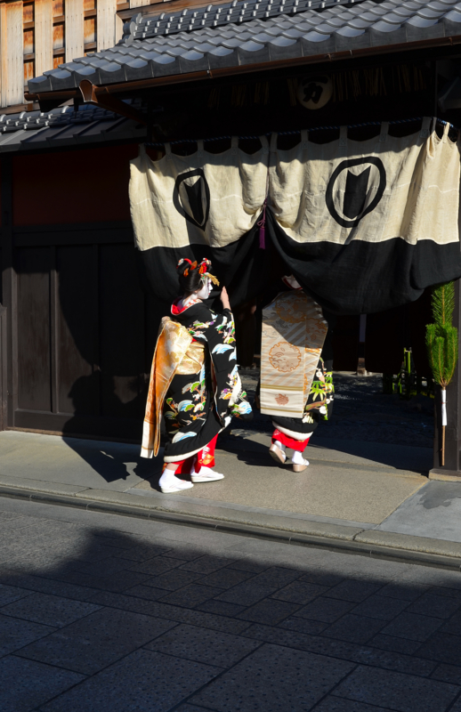 京都新聞写真コンテスト　新春の足音