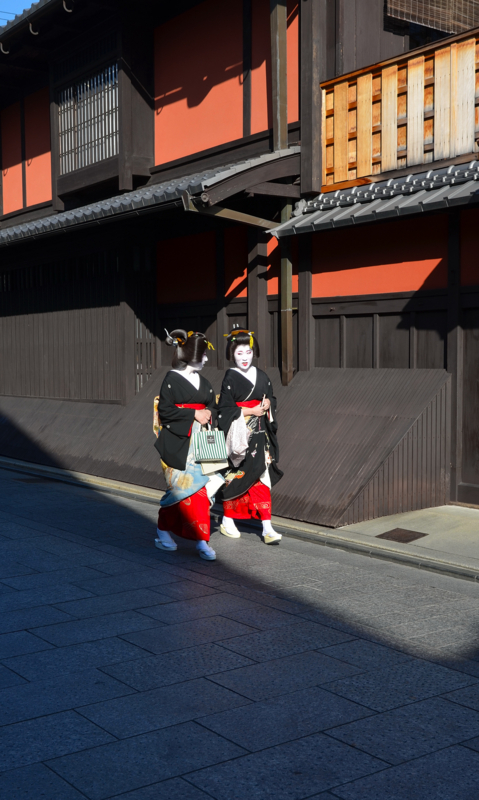 京都新聞写真コンテスト　年の始め