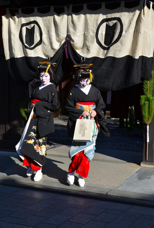 京都新聞写真コンテスト　艶めいて