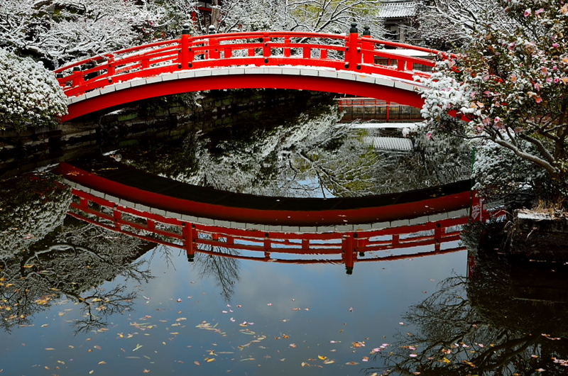 京都新聞写真コンテスト　水鏡