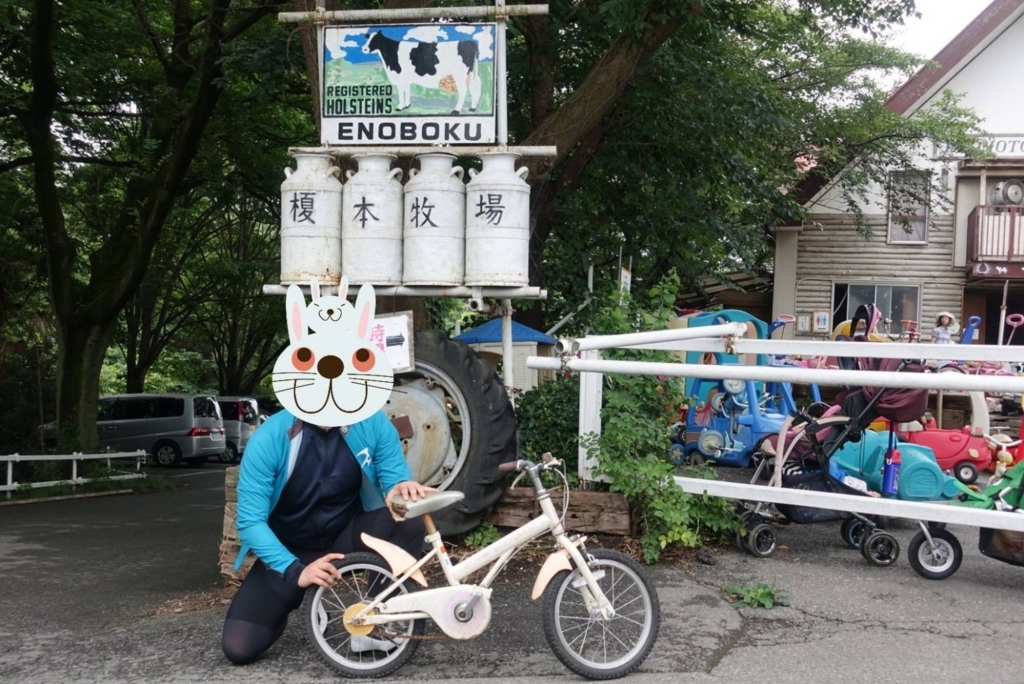 f:id:kouji-ykak4:20180624193144j:plain f:id:kouji-ykak4:20180624193144j:plain