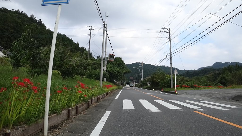 f:id:kouji-ykak4:20180917090452j:plain f:id:kouji-ykak4:20180917090452j:plain