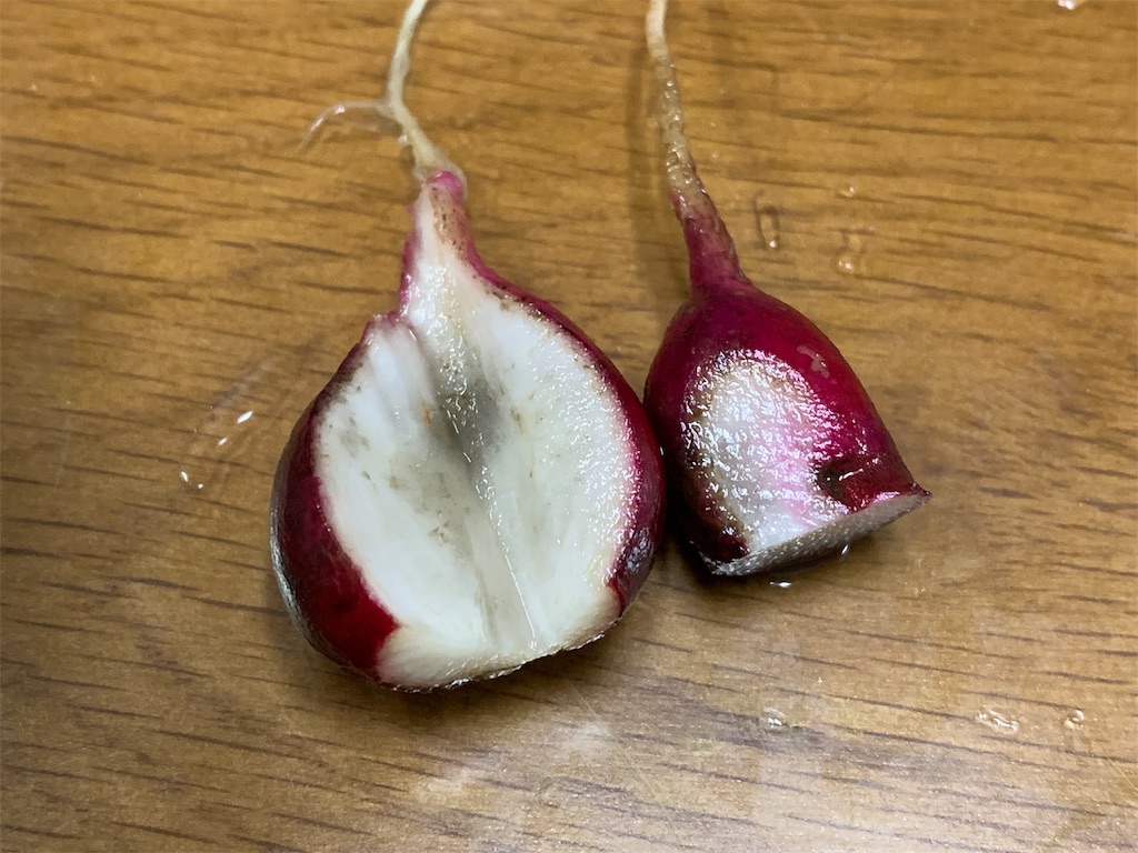 f:id:kouji-ykak4:20190706184644j:image f:id:kouji-ykak4:20190706184644j:image