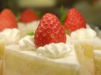 f:id:kouji0625:20120208230456j:image:right