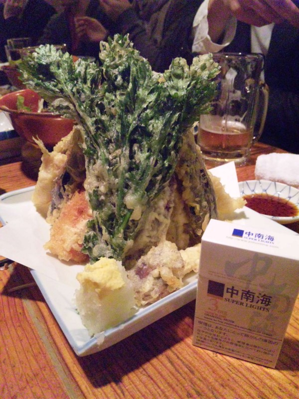 f:id:koujiro_chie:20100123200800j:image