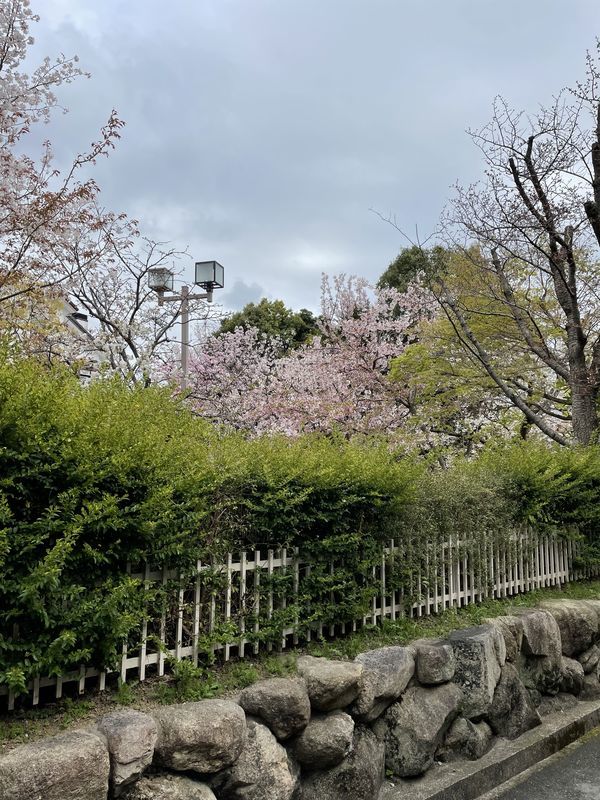 f:id:koujirou929:20220408170708j:plain