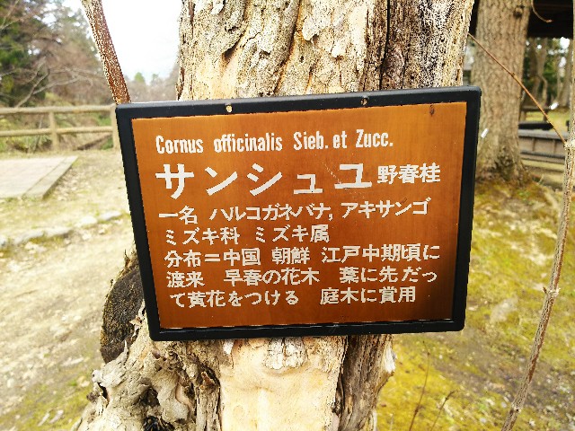 f:id:koujoukun:20170408163639j:image