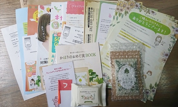 f:id:koukaizen:20181216082506j:plain