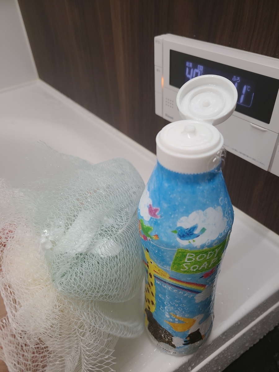 f:id:koukana-sana:20201114183639j:plain