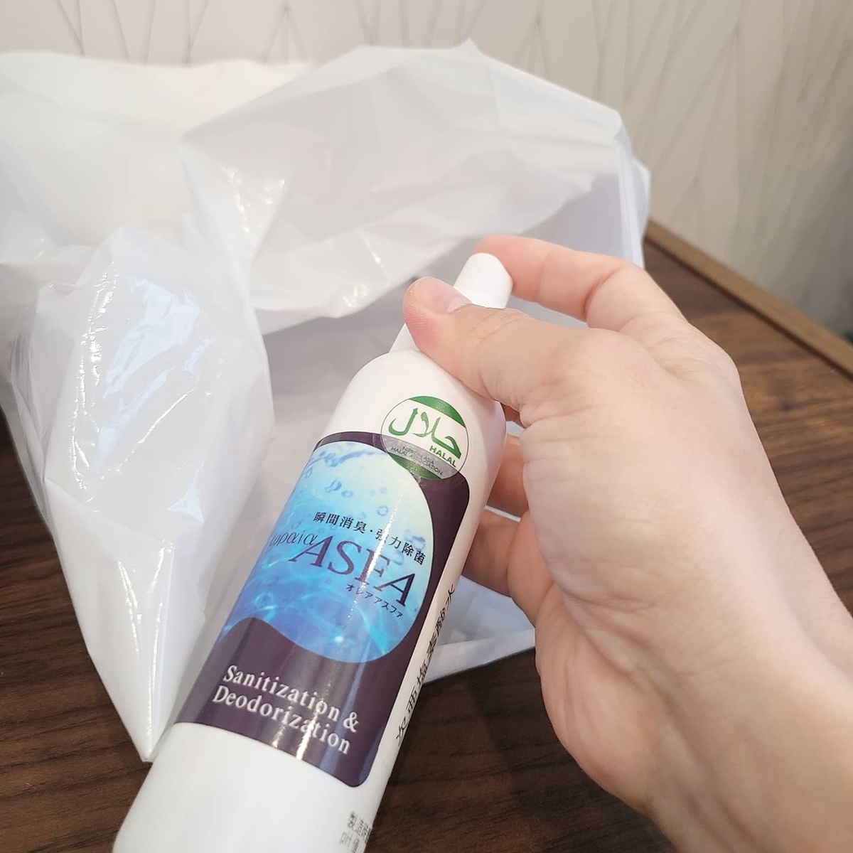 f:id:koukana-sana:20201206163411j:plain