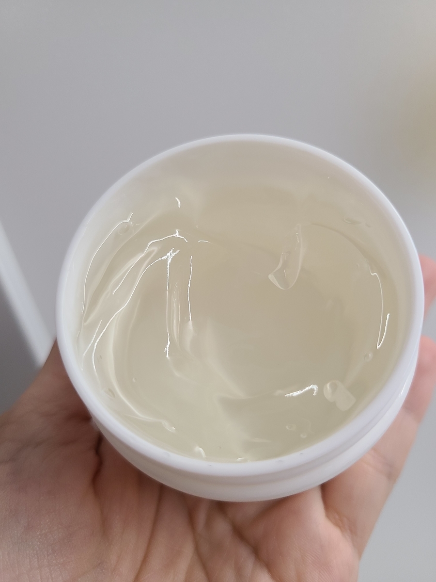 f:id:koukana-sana:20201208085442j:plain