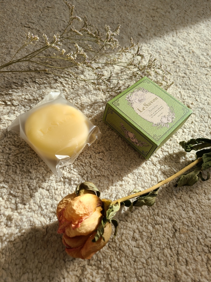 f:id:koukana-sana:20201222214113j:plain