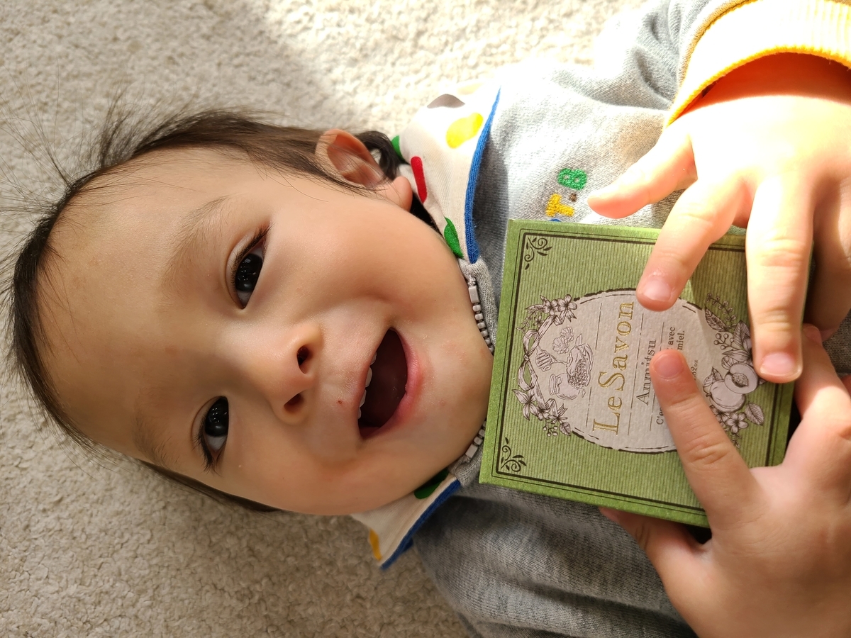 f:id:koukana-sana:20201222214155j:plain