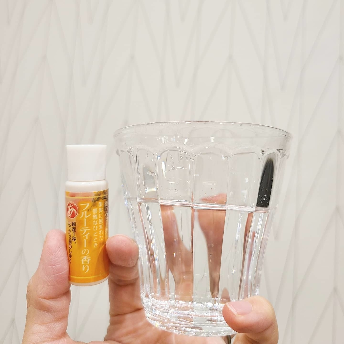 f:id:koukana-sana:20201224201659j:plain