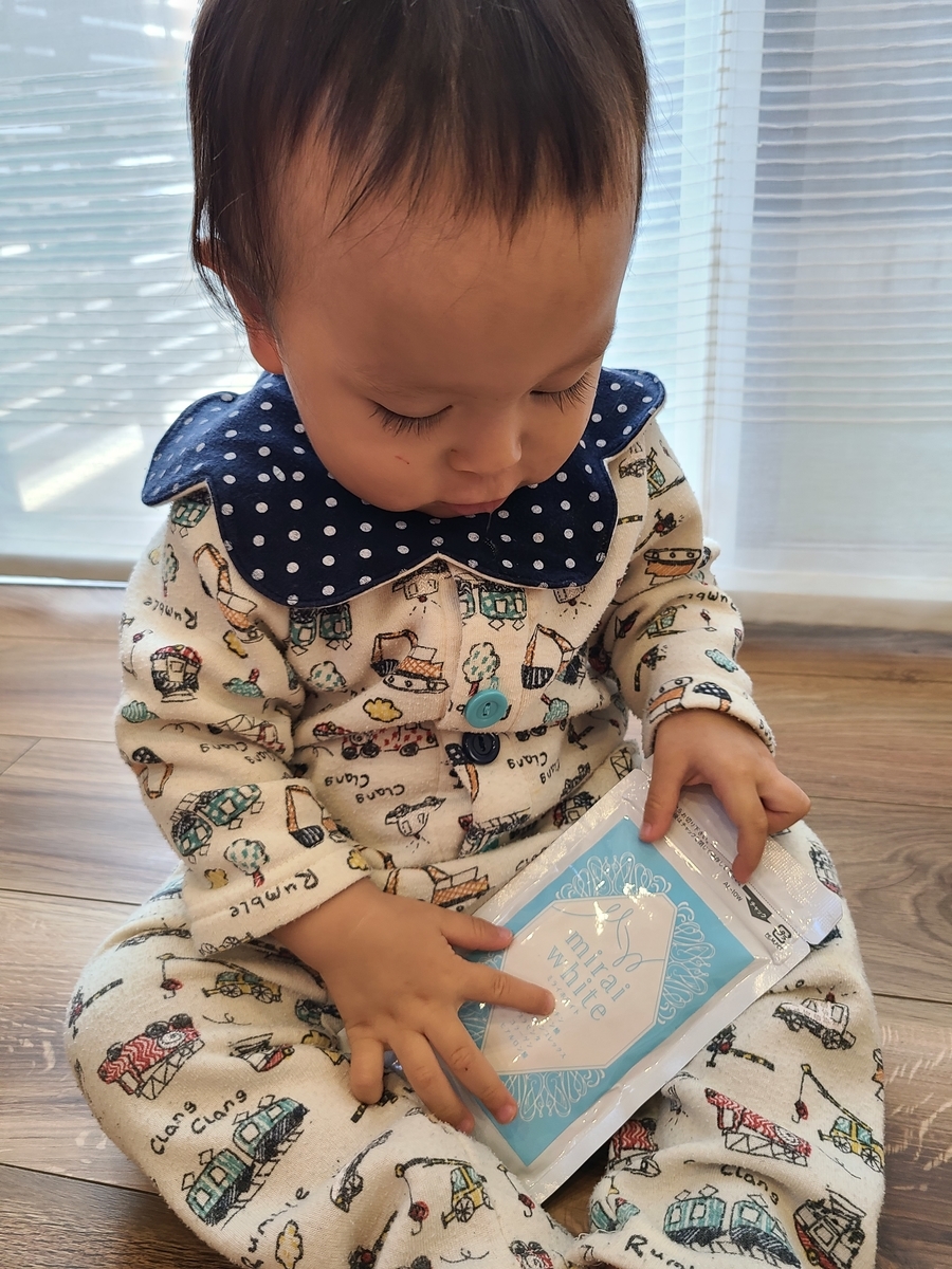 f:id:koukana-sana:20201228140038j:plain