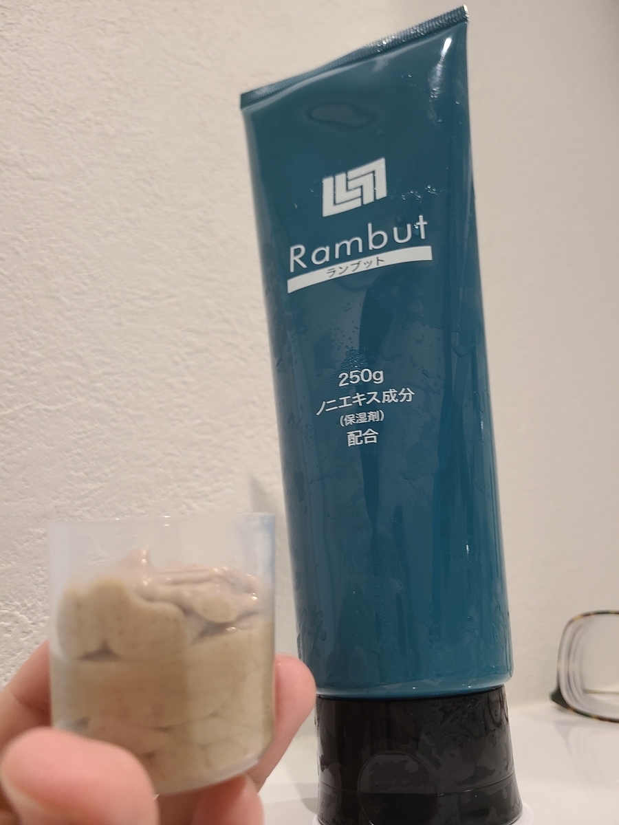 f:id:koukana-sana:20201230224943j:plain