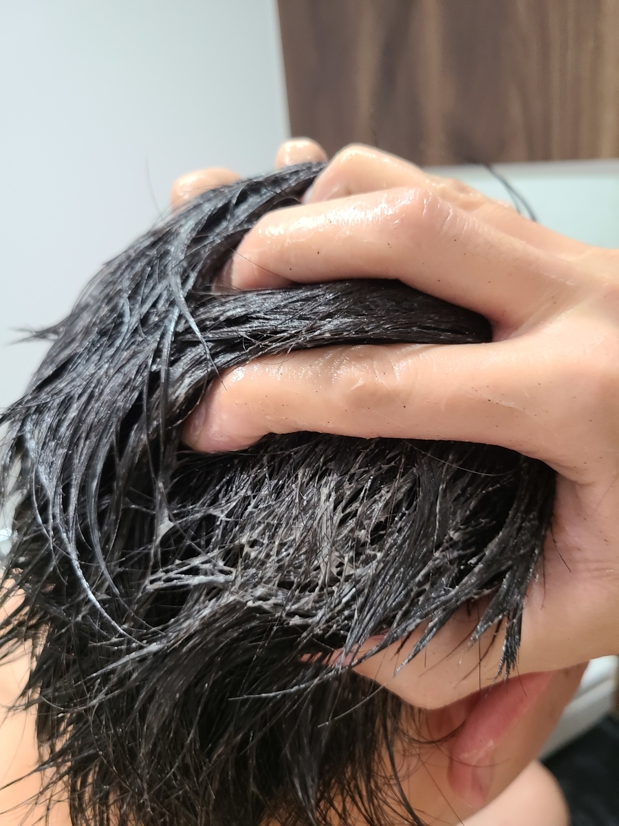 f:id:koukana-sana:20201230225004j:plain