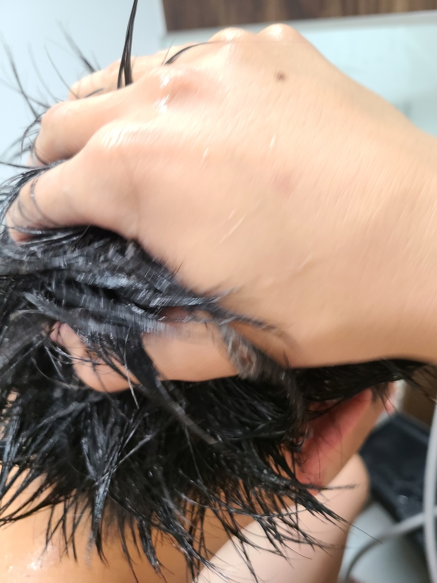 f:id:koukana-sana:20201230225028j:plain