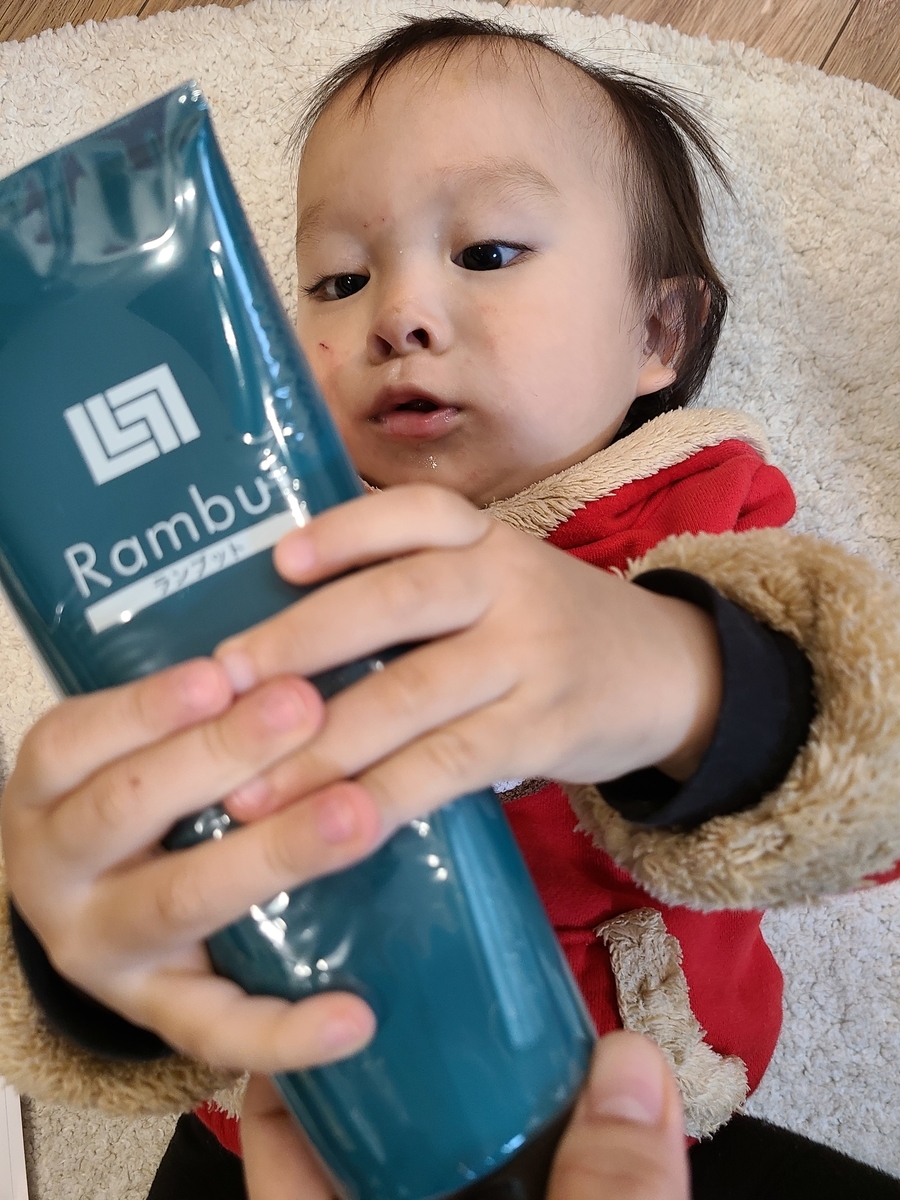 f:id:koukana-sana:20201230225101j:plain