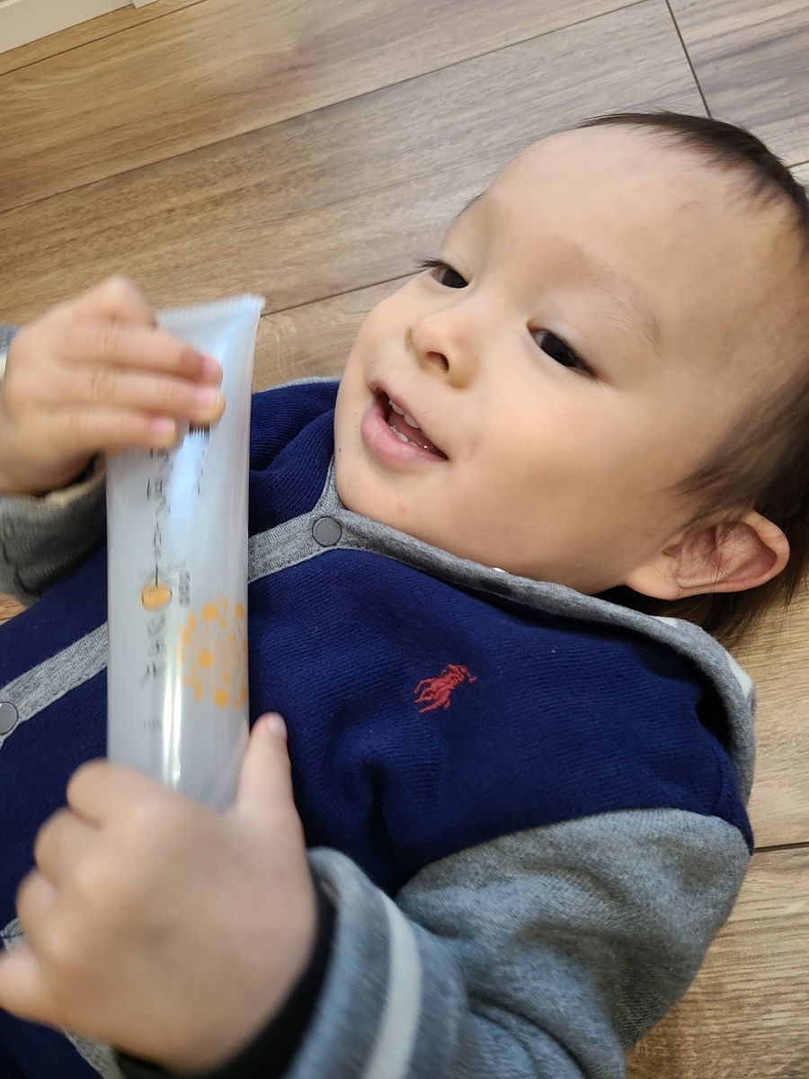 f:id:koukana-sana:20210124142407j:plain