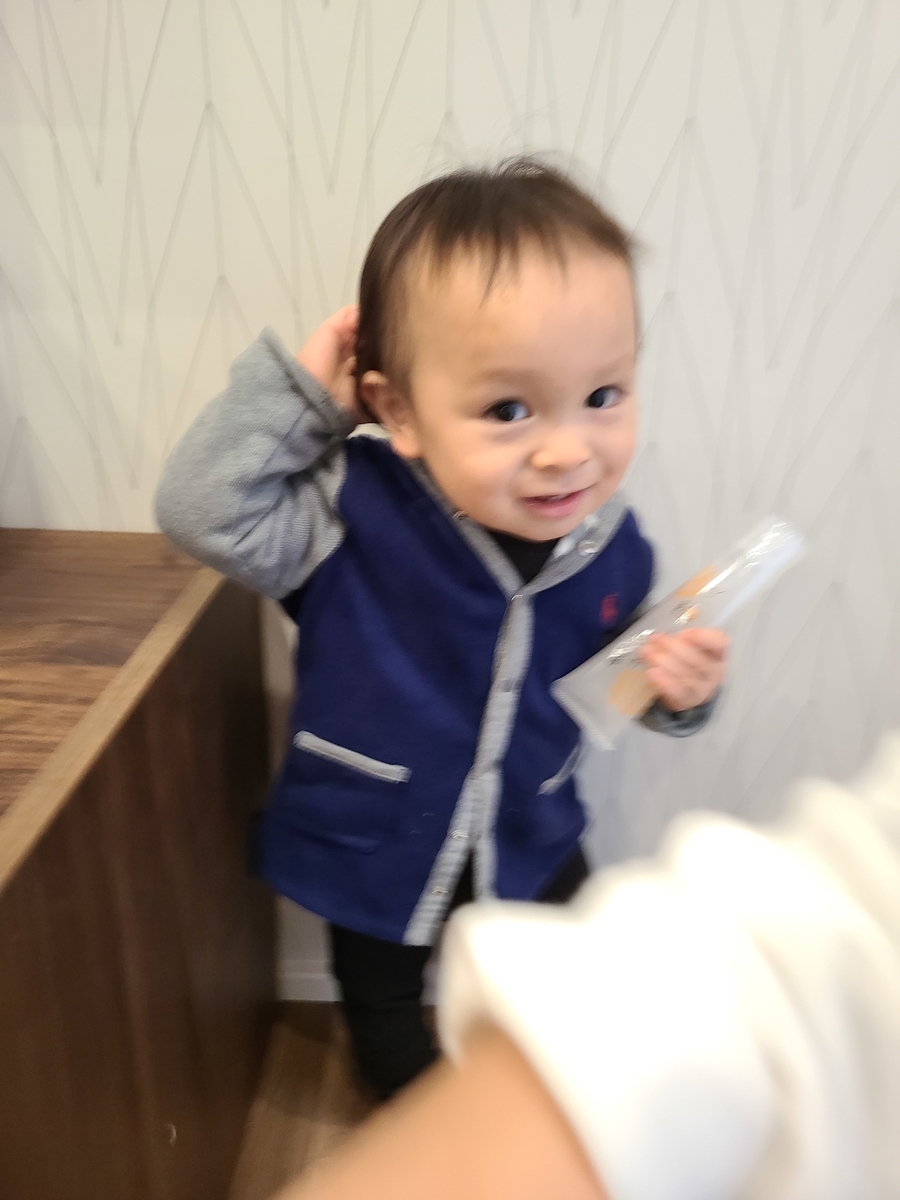 f:id:koukana-sana:20210124142551j:plain