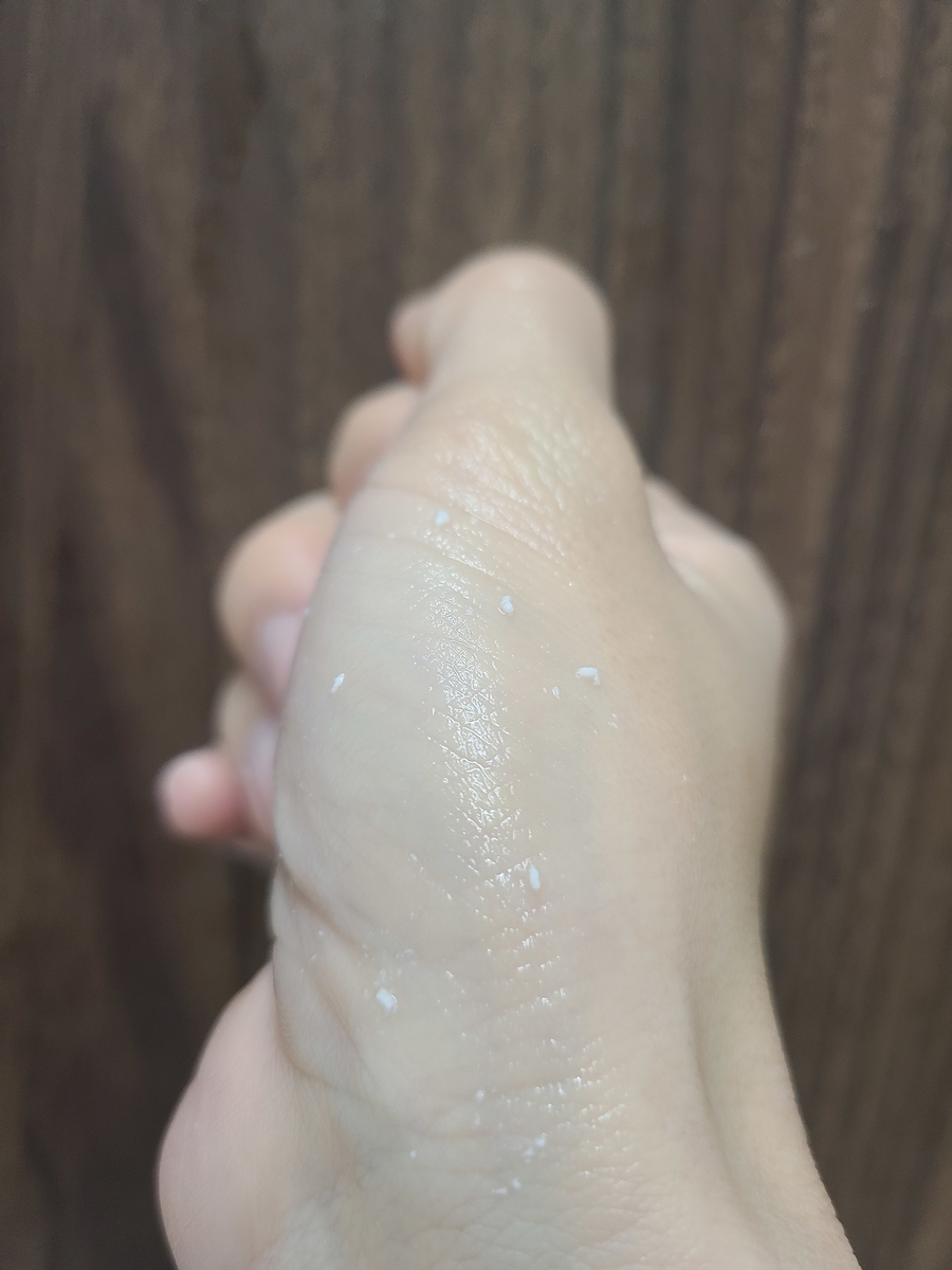 f:id:koukana-sana:20210124143048j:plain