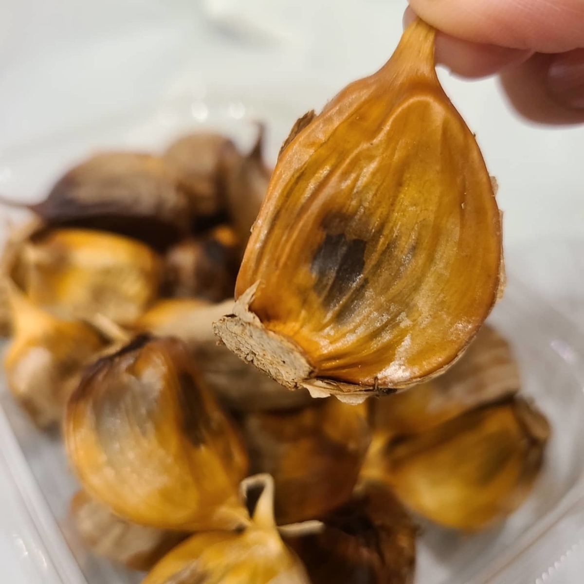 f:id:koukana-sana:20211218204759j:plain