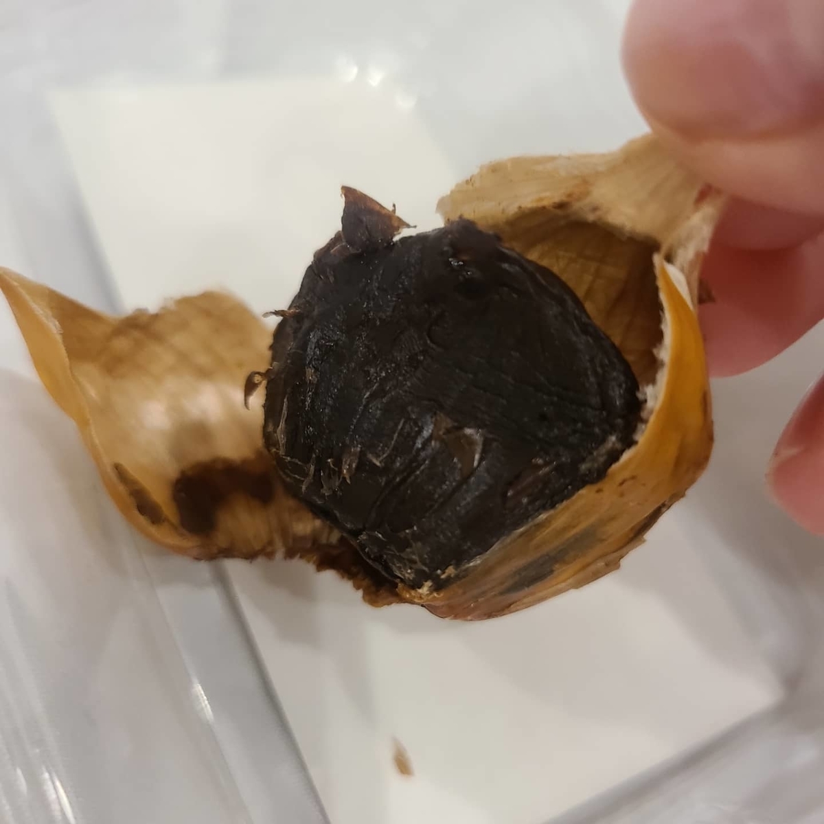 f:id:koukana-sana:20211218204815j:plain