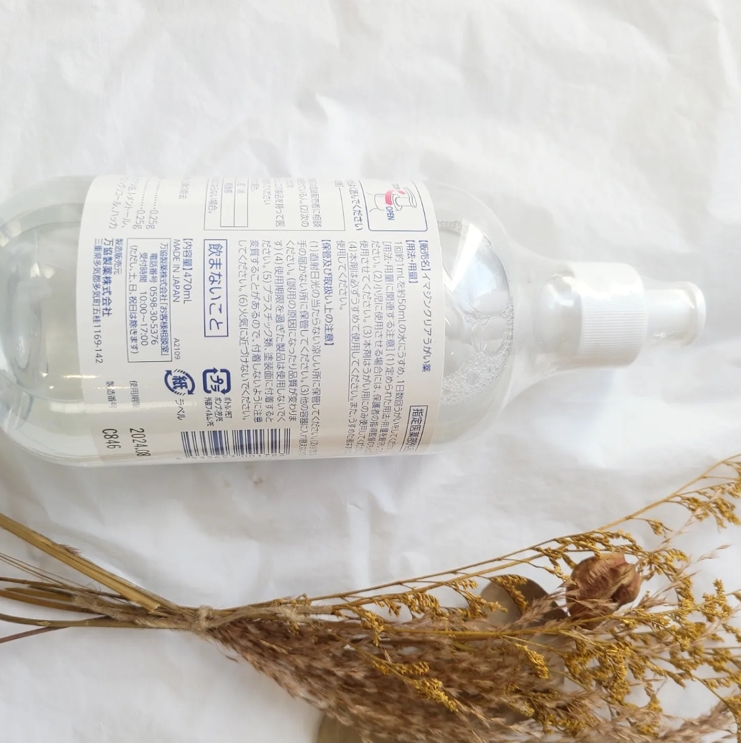 f:id:koukana-sana:20220122120846j:plain