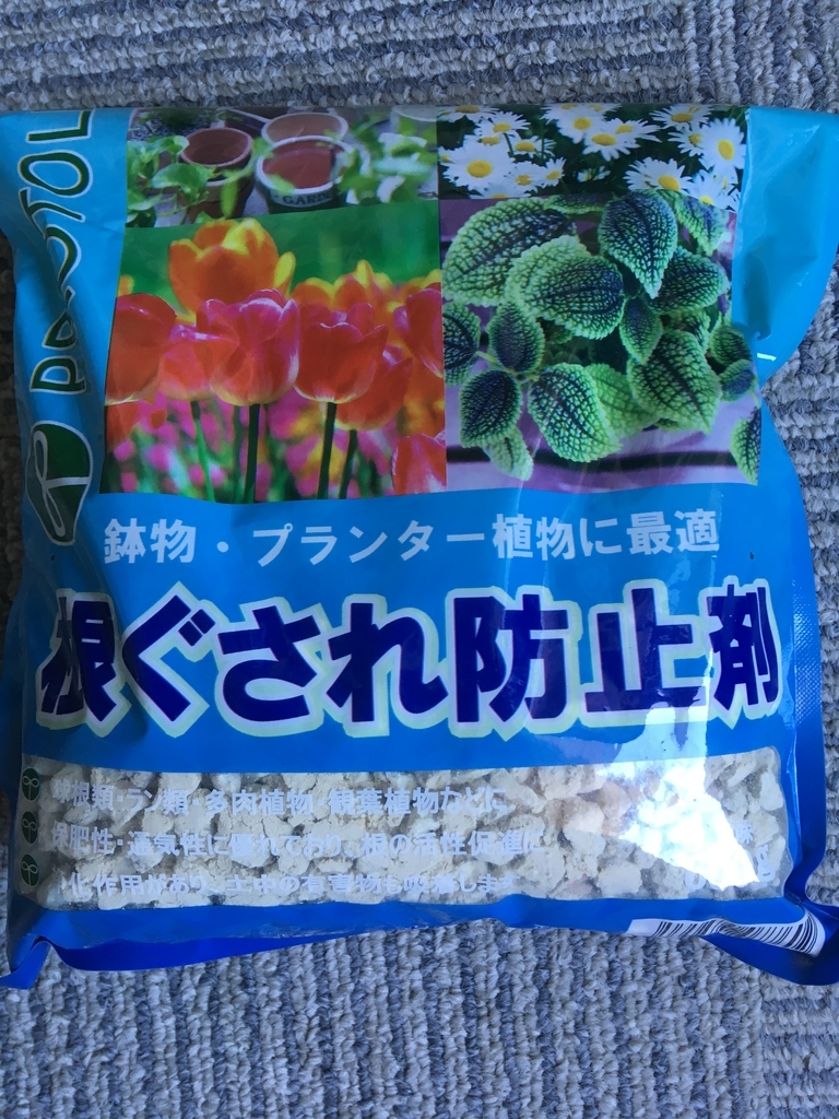 f:id:kouki2002:20181005210531j:plain f:id:kouki2002:20181005210531j:plain