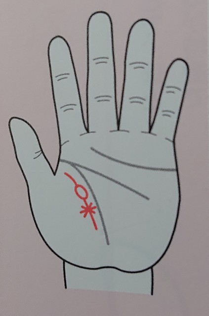 f:id:koukisinkun:20200528003938j:image f:id:koukisinkun:20200528003938j:image