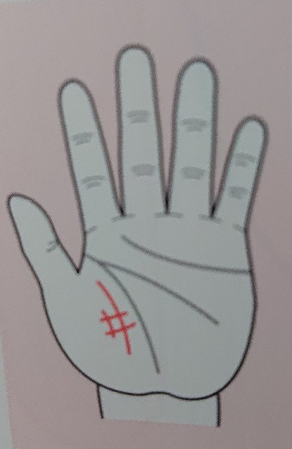 f:id:koukisinkun:20200528004000j:image f:id:koukisinkun:20200528004000j:image