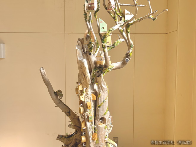 高校生の流木アート「人生は自由に作れる」思い込め「運命の一本」求め