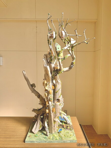高校生の流木アート「人生は自由に作れる」思い込め「運命の一本」求め