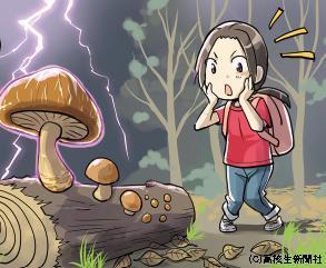 電気ショックでキノコが生える！ オモシロ！雑学 - 高校生新聞：10代を