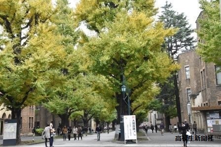 【モーさま専用】無名校から私の東大合格作戦90　東大合格作戦92京大合格作戦90 東大にほぼ合格していない学校から東大を目指すときに読む本 | UTFR