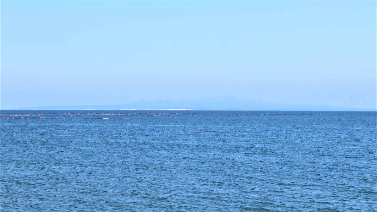 f:id:koulog:20201014130235j:plain f:id:koulog:20201014130235j:plain